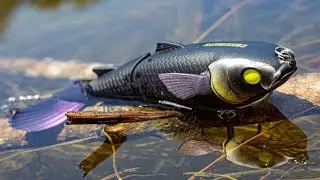 The Drunken Mullet - Multiple Lure Actions Fish Can't Resist! | Chasebaits