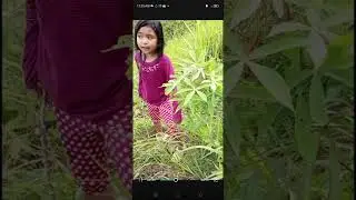 A DAY OF MY LIFE / SCREEN RECORDING EFFECT 