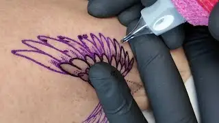 Wings tattoo