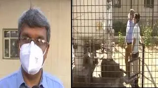 Punjab- 7 patients die following oxygen crisis at private hospital