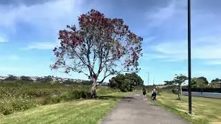 Te Ara Tahuna Estuary Orewa