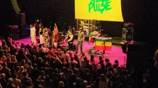 Steel Pulse 50 Years