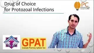 Drug of choice for Protozoal Infections | Antimalarial drugs