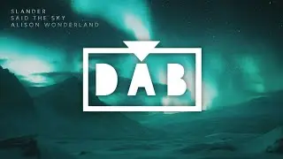 SLANDER, Said The Sky & Alison Wonderland - Picture