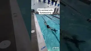 Swimming with Fins (CSS) plus Turtlebacking Drill (recovery)