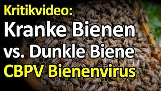 Kritikvideo: CBPV-kranke Hochleistungs-Bienen - Buckfast und Carnica versus heimische Dunkle Biene