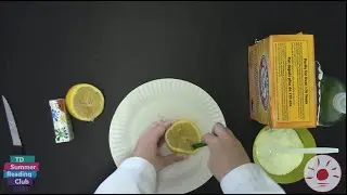 STEAM Activity - Lemon Volcano (TD Summer Reading Club)