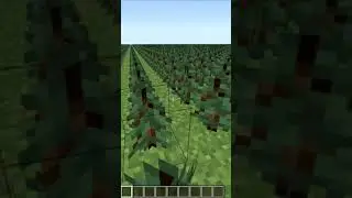 MrBeast's minecraft world be like #shorts
