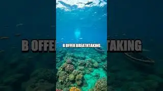 Secrets of Uncharted Islands