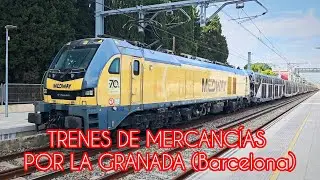 Trenes de mercancías variados por la estación de La Granada (Barcelona).