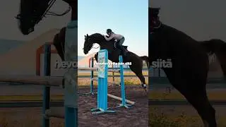 Hevonen jonka ostin vs. Hevonen jonka tein siit&auml; 🔧👀