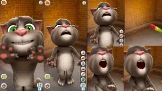 My Talking Tom Cat Funny videos || Talking Ginger cartoon gameplay effects videos talking Tom cat 🐈