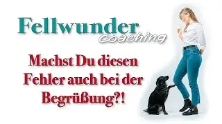 Die perfekte Hunde Begr&uuml;&szlig;ung // Fellwunder Coaching 🐕