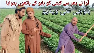 Aaowa ne phir se keeti ko babo Ke hatho pitwaya || Arshad ayub 047s