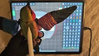 3D-печатные гибкие модели с использованием Nomad Sculpt (шарнирные соединения с защелками)