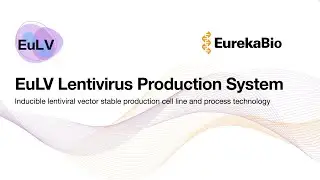 EuLV Intro: scalable lentiviral vector manufacture based on stable producer cell lines