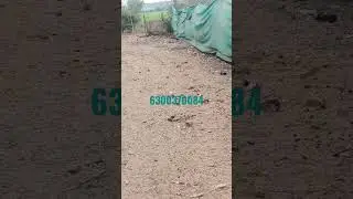 agriculture land for sale khammam||mahiram real estate|| 18 March 2023