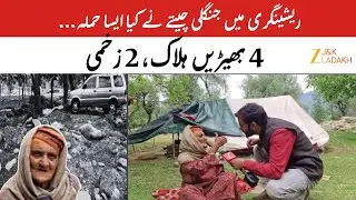 Breaking News: Wild Leopard Attack in Reshinagri: 4 Sheep Killed, 2 Injured | Jammu Kashmir News