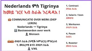 Nederlands ምስ Tigrinya ከመይ ገርና ኣብ ስራሕ ንዘራረብ 