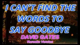 I CAN'T FIND THE WORDS TO SAY GOODBYE - DAVID GATES - KARAOKE / VIDEOKE VERSION