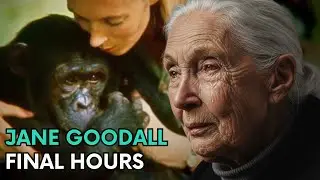The Tragic Life and Death of Jane Goodall | Full Documentary