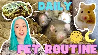 🐹MY DAILY PET ROUTINE🐁 // LOCKDOWN EDITION🐸 // 2021 VLOG