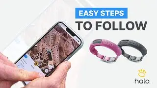 HALO GPS DOG COLLAR: HOW TO SETUP A VIRTUAL FENCE ON YOUR HALO COLLAR APP