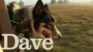Wild Pig Hunting To Save Farms | Deadliest Pests Down Under | Dave