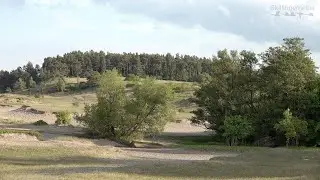 &Ouml;sterlensvepet 87. Skr&ouml;nan om Ulv