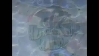 Six Flags Ohio - Hurricane Harbor (2000, USA)