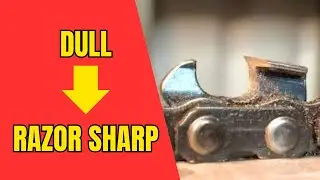 How Much Faster Is a SHARP Chain? Dull vs Sharp Test