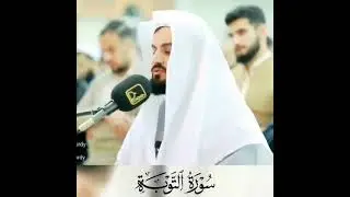 Muhammad Kurdi Tavba surasi||#shorts #bestquran#muhammadkurdi# tavbasurasi&deg;||обуна👇