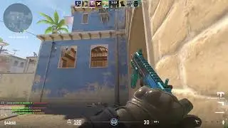 CS DE CRIA