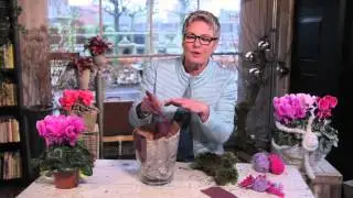 Inspiration with Pastel Cyclamen and Konni van Delft