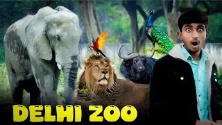 delhi zoo 2026 | delhi vlog # Delhi Zoo Vlog 