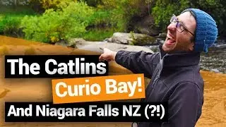 🗺️ Exploring The Catlins: Curio Bay & Niagara Falls &ndash;  New Zealand's Biggest Gap Year