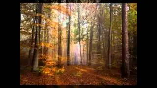 HARPSTEDT - WIE ES SEINE EINWOHNER SEHEN