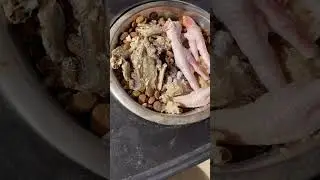 Dogs eat sardines #doglife #belgianmalinois #germanshepherd #dogs #puppylife