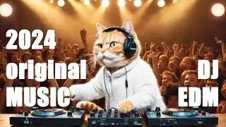 Experience 2024's Hottest EDM Hits|EDM Extravaganza: 2024's Ultimate Music Mix|NO:2024082001