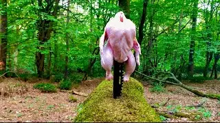 Cooking in the forest. Stuffed pepper chicken