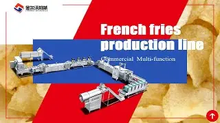 Fully Automatic French Fries Production Line | High Capacity Chips Fryer