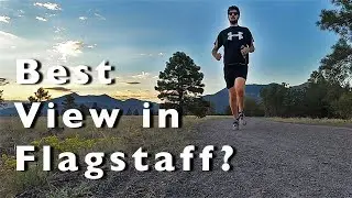 Sunset Run in Buffalo Park!