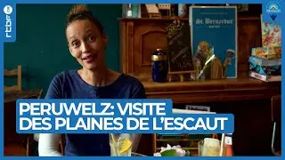 Peruwelz : visite guid&eacute;e dans la r&eacute;gion des Plaines de l'Escaut - Les Ambassadeurs