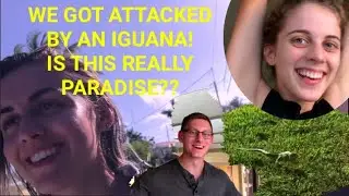 WE GOT ATTACKED BY AN IGUANA!?! IS THIS REALLY PARADISE?