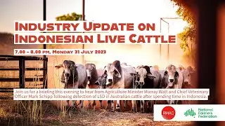 Indonesian Live Cattle Webinar 31 July 2023
