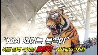 재개된 KS시리즈 1차전, 더 뜨거워진 현장 l 241023 KIA 챔피언스필드