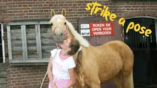 Fotoshoot met Blondie! - Weekvlog - * Hart voor Paarden *