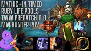 M+14 Ruby Life Pools Timed | MM Hunter POV | TWW Pre-Patch 11.0