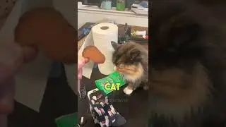 Ouch! Why Do CATS Bite Their Owners 😼🚑