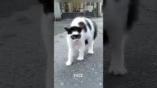 #kindness